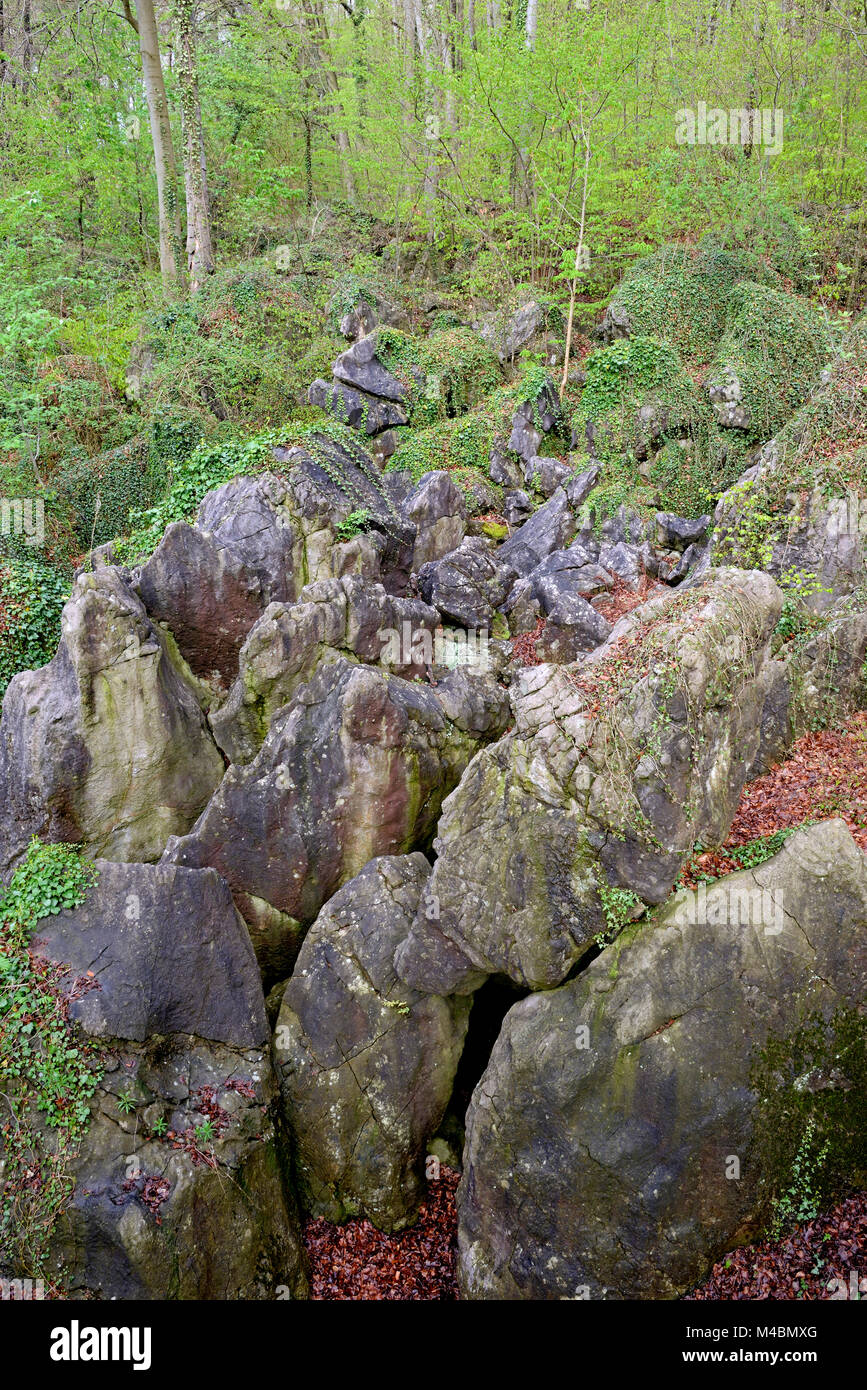 Felsenmeer réserve naturelle de rochers,robuste,Rhénanie du Nord-Westphalie,Allemagne Banque D'Images