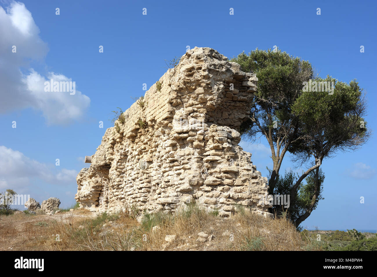 Park d'Ashkelon en Israël Banque D'Images