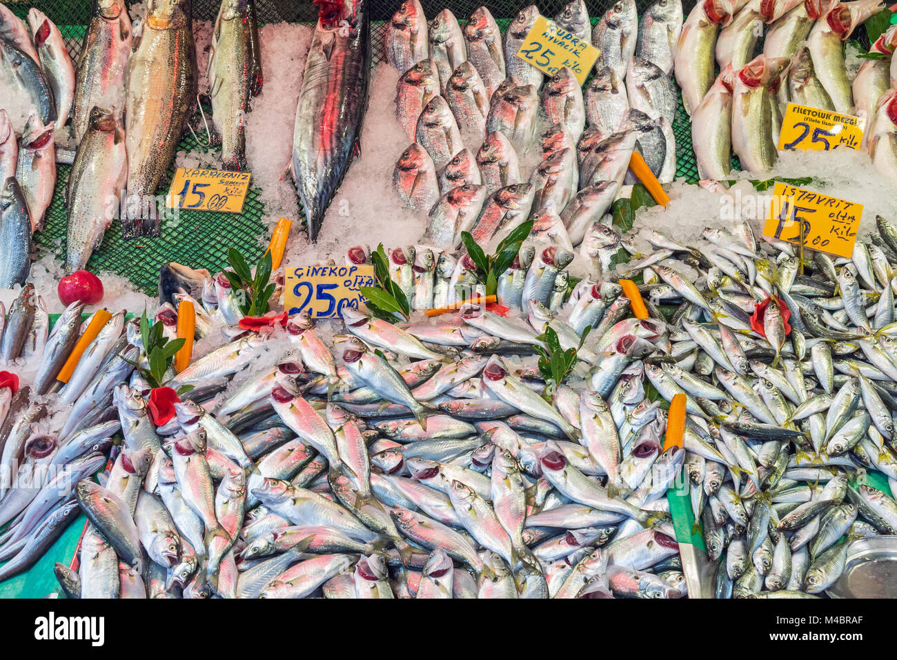 Choix de poissons sur un marché à Istanbul, Turquie Banque D'Images