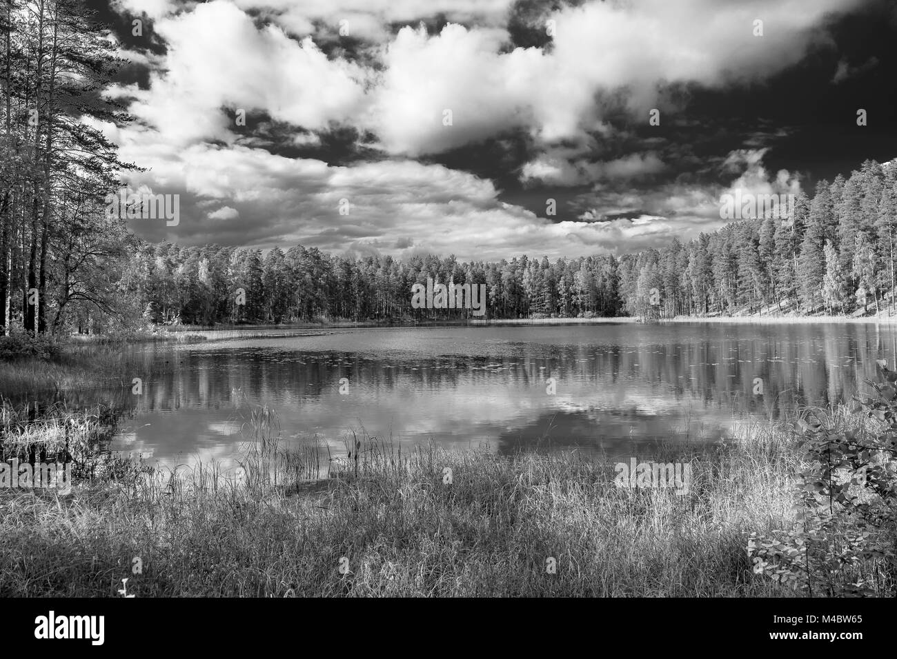 Vue en noir et blanc de nuages qui se reflètent dans le lac, Punkaharju, Lake District, Finlande Banque D'Images