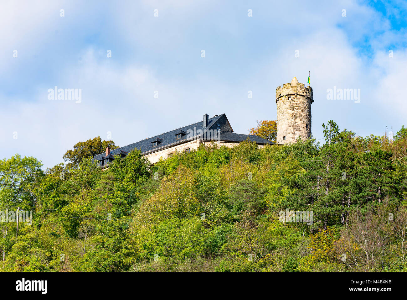 Château Greifenstein dans le bois 3 Banque D'Images