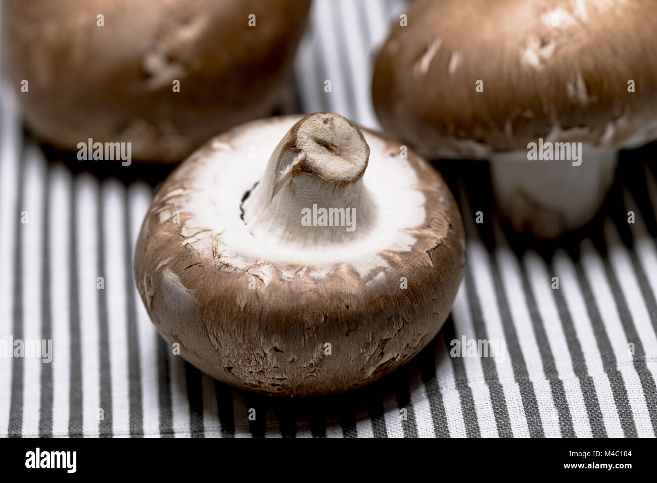 Faire revenir les champignons - Close up Banque D'Images