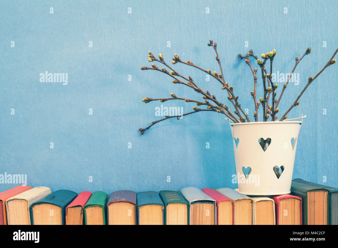 Cherry branch avec bourgeons sur fond bleu livres Banque D'Images