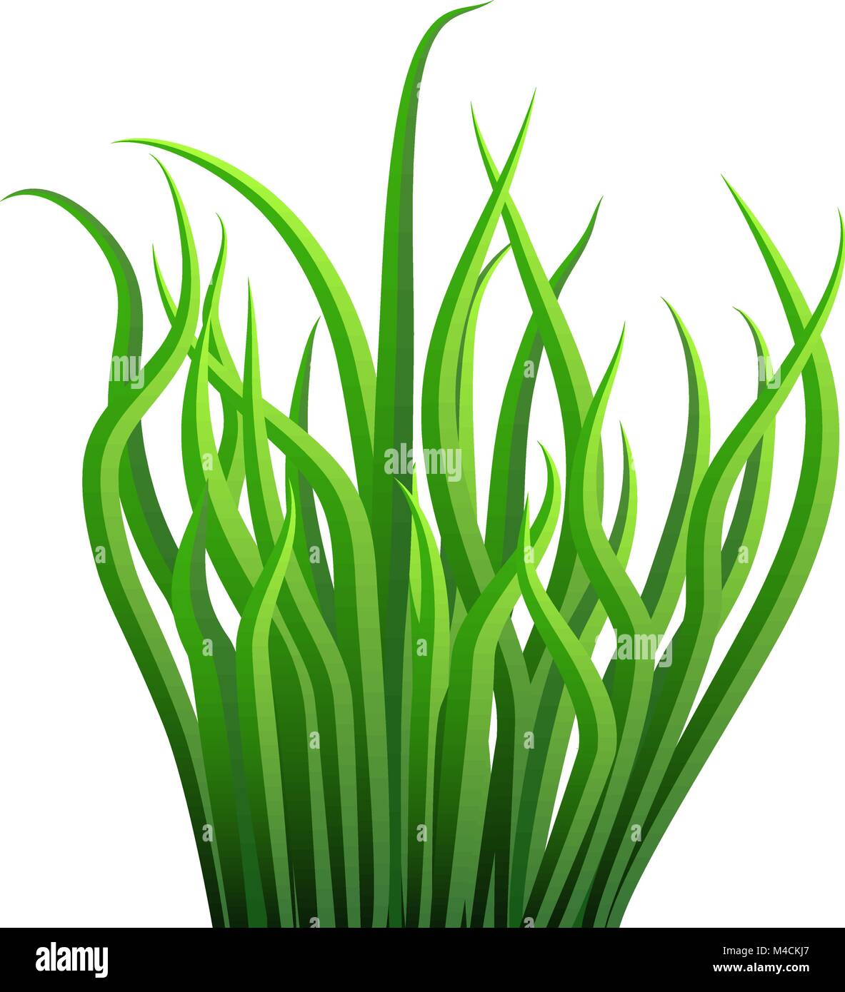 Une image d'un tas d'herbe. Illustration de Vecteur