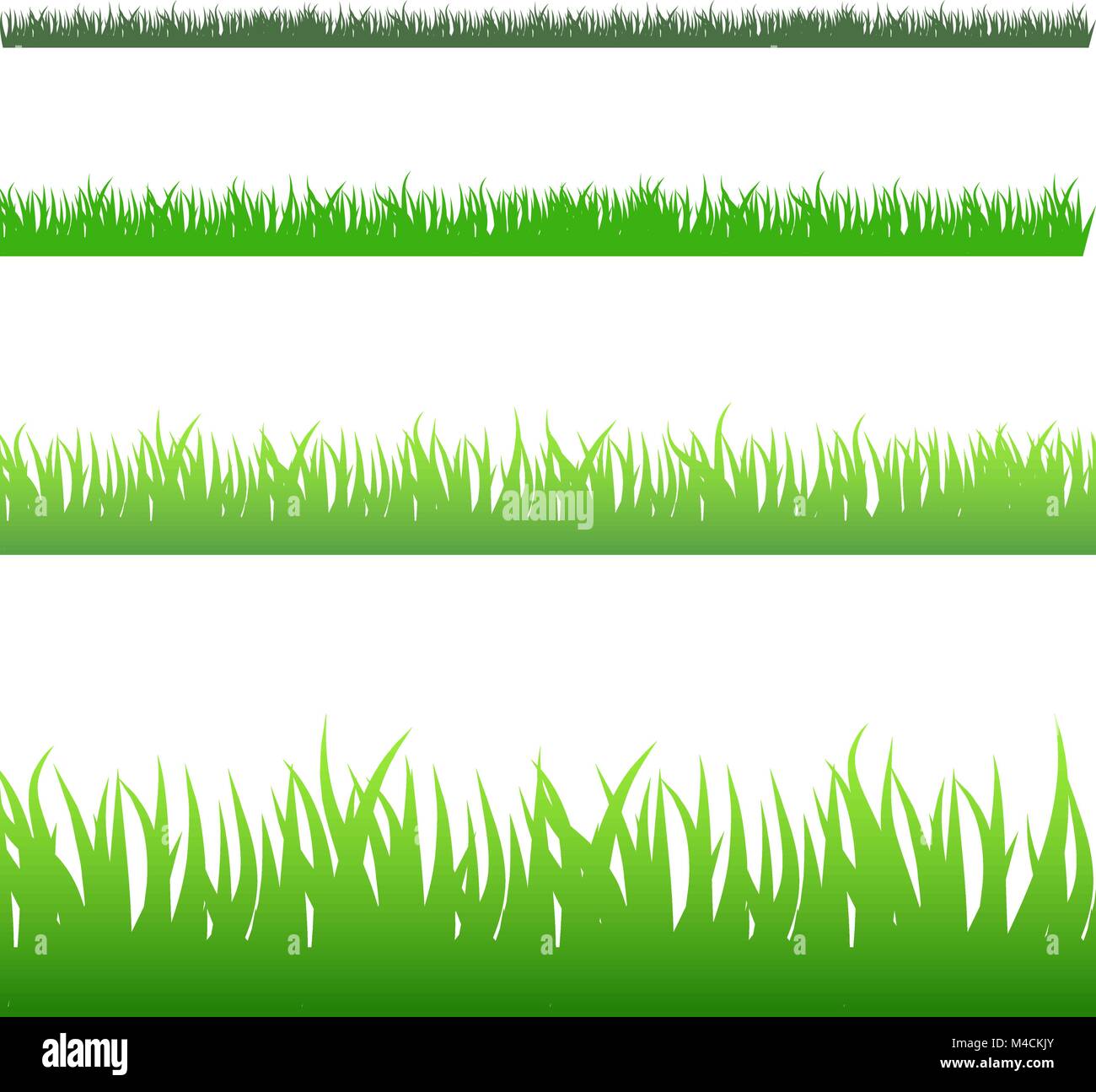 L'image d'un ensemble de brins d'herbe vert isolé sur blanc. Illustration de Vecteur