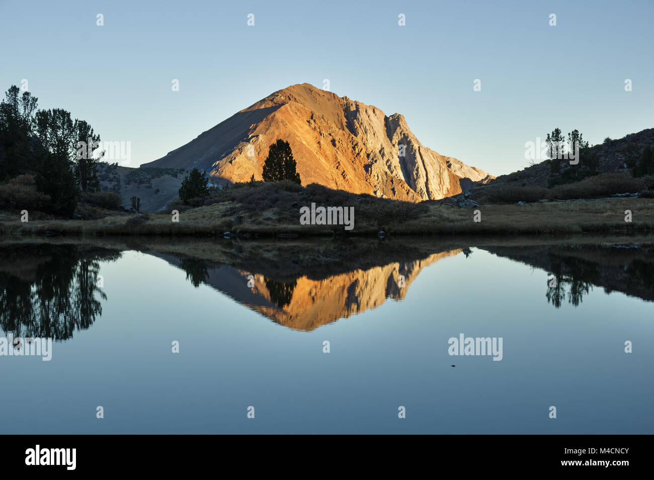 Mountain Laurel reflète dans un petit lac de montagne Sierra Nevada Banque D'Images