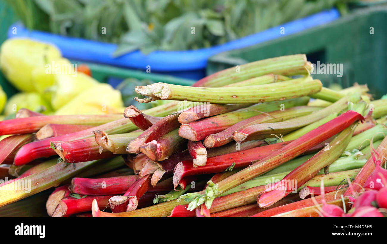 Rhubarbe Banque D'Images