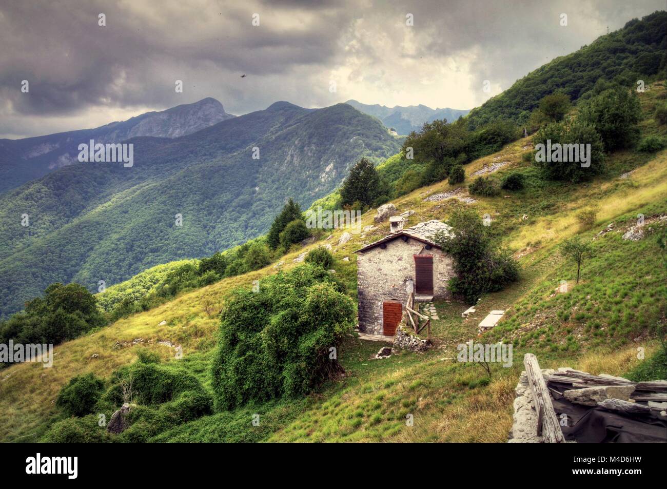 L'été en Toscane, Italie Banque D'Images