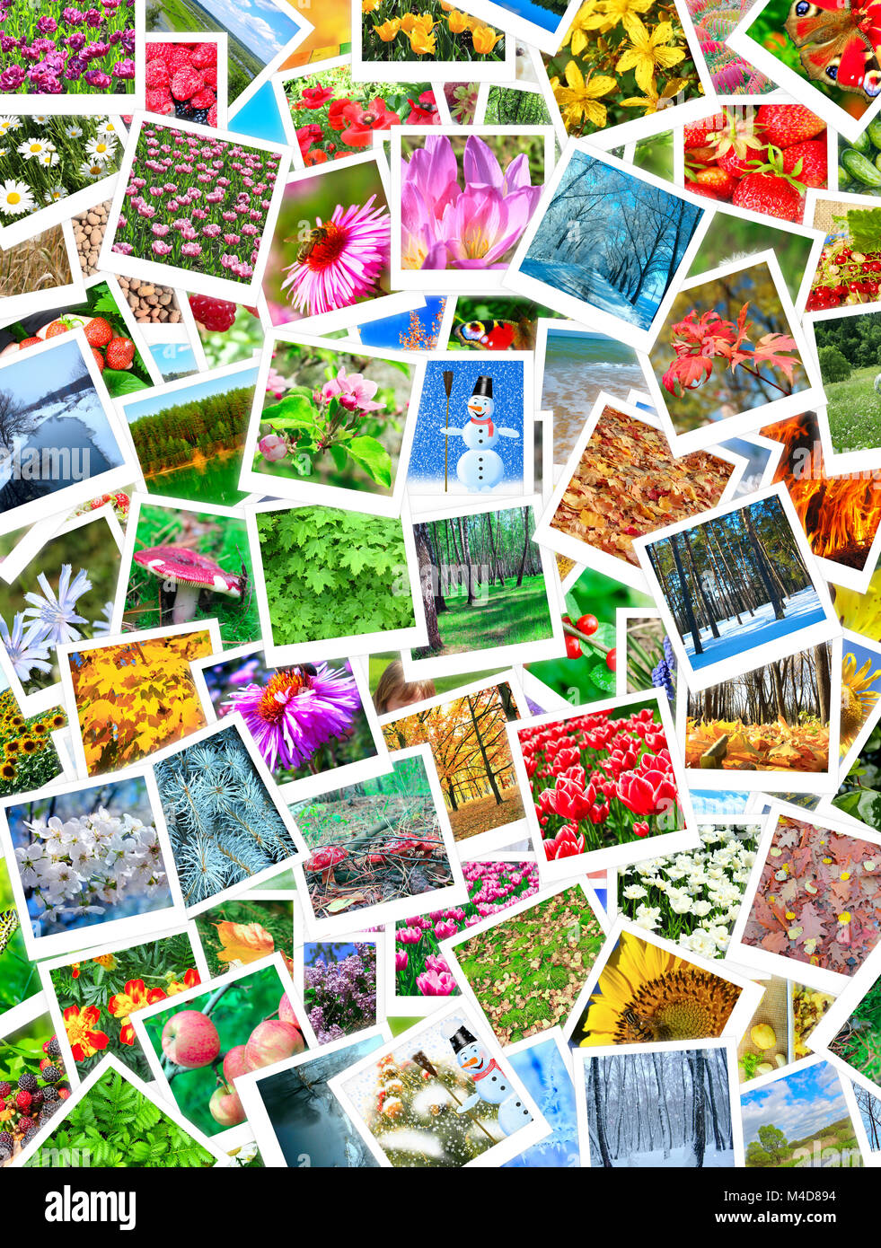 Un grand nombre de belles photos de la nature Banque D'Images