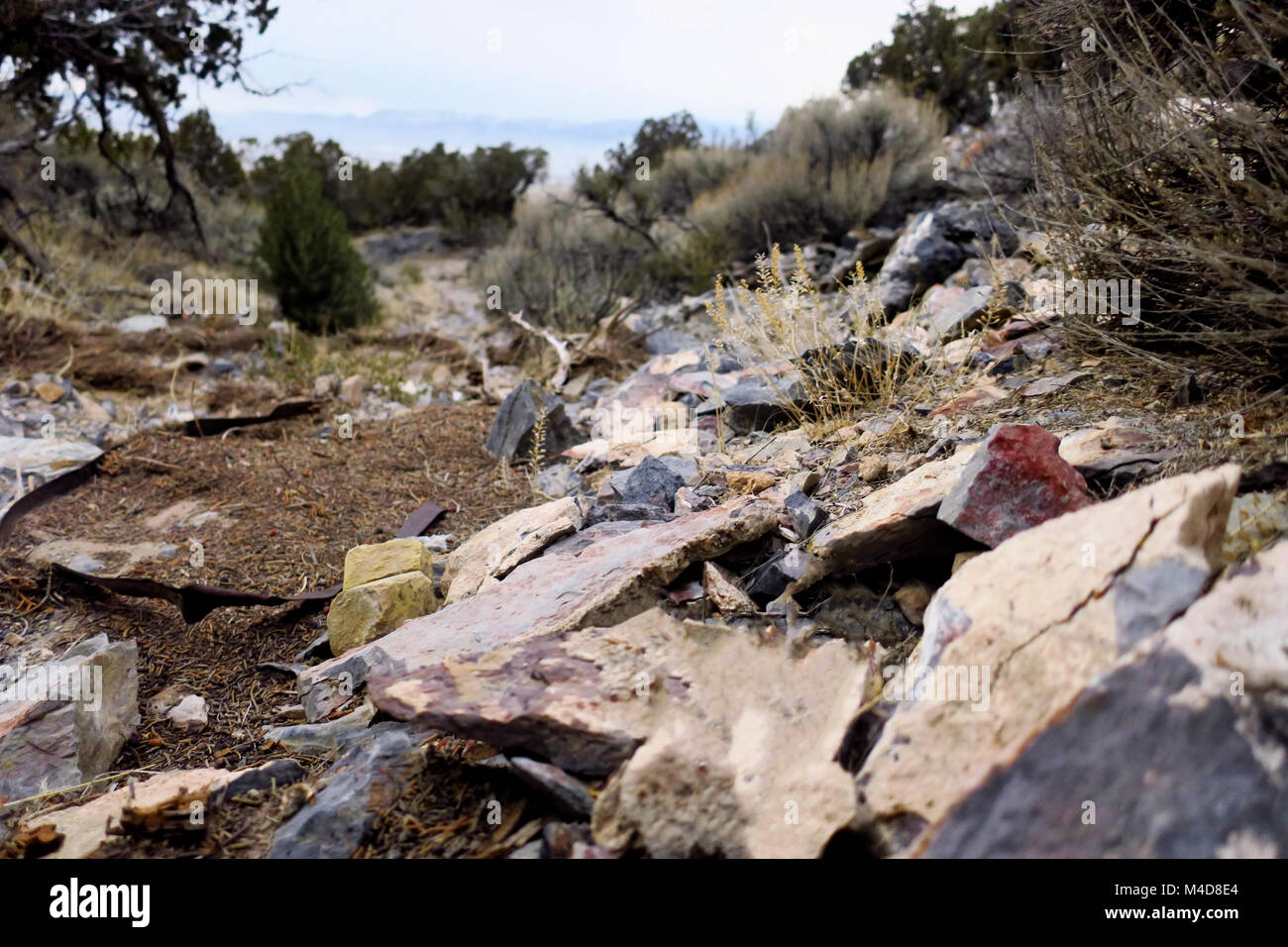 Un lit de rivière à sec rempli de roches dans le désert de l'Utah. Banque D'Images