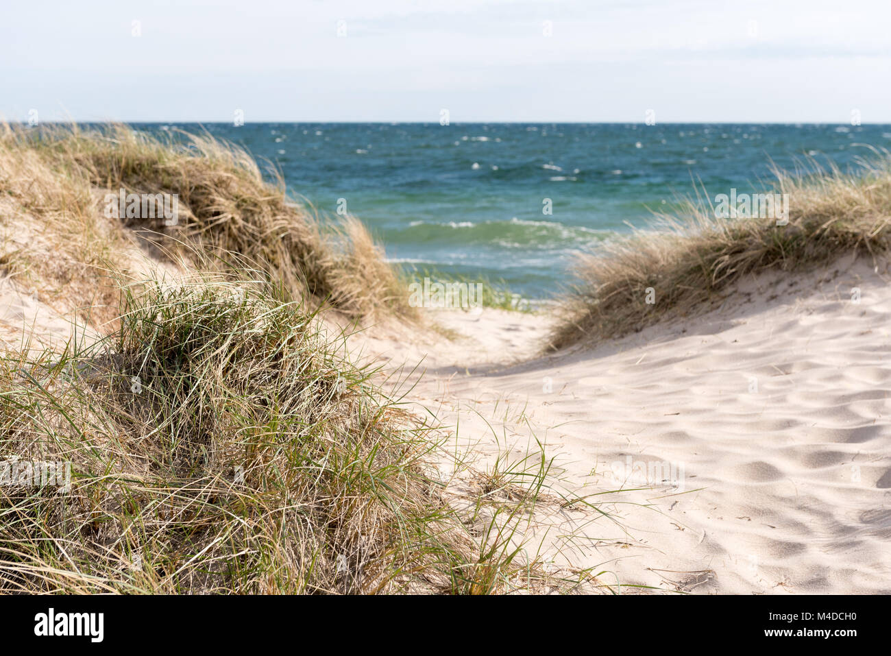 Beach Banque D'Images