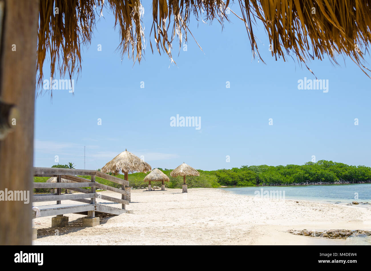 Regardant à travers les palétuviers à Aruba Beach Banque D'Images
