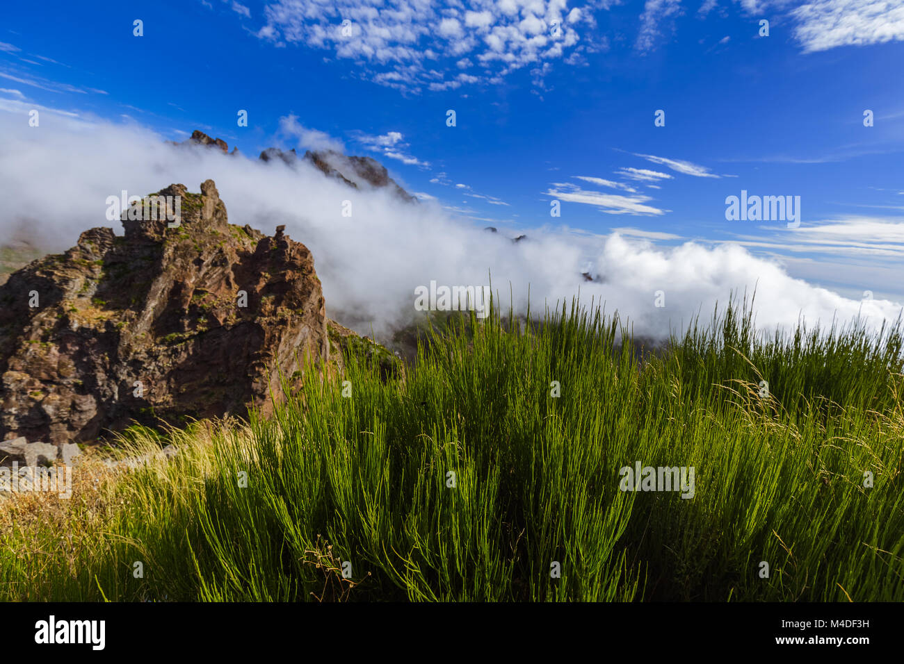 Randonnée Pico do Arierio et Pico Ruivo Madère - Portugal Banque D'Images