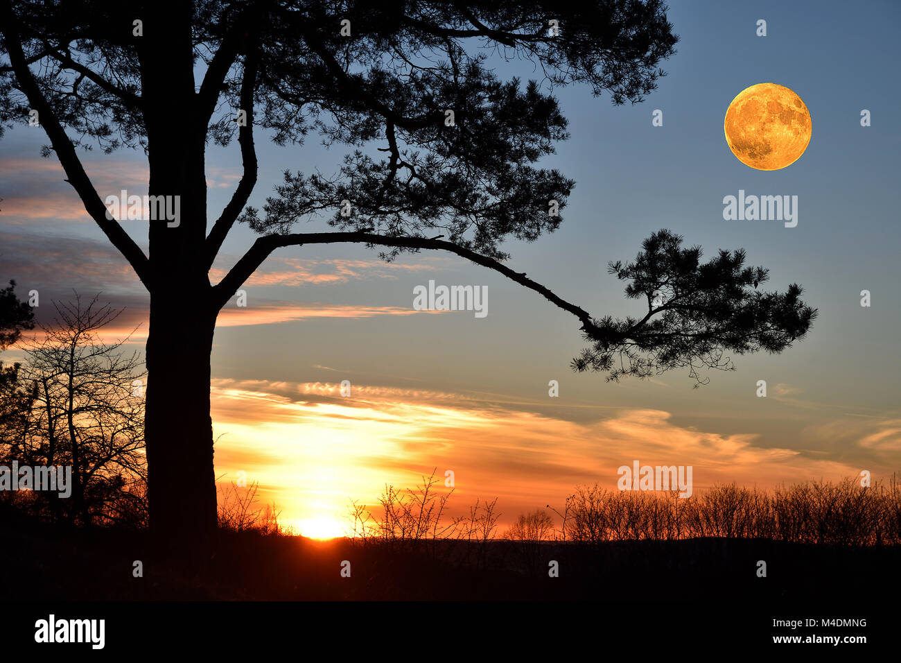 Le coucher du soleil, le lever du soleil ; soir ; humeur ; humeur lumière lune, pleine lune, Banque D'Images