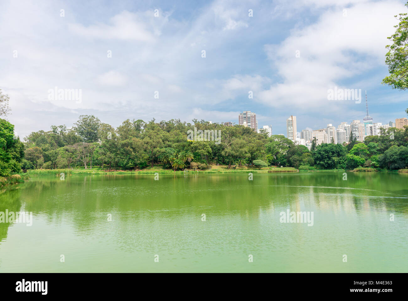 Le lac dans l'Aclimacao Park à Sao Paulo Banque D'Images