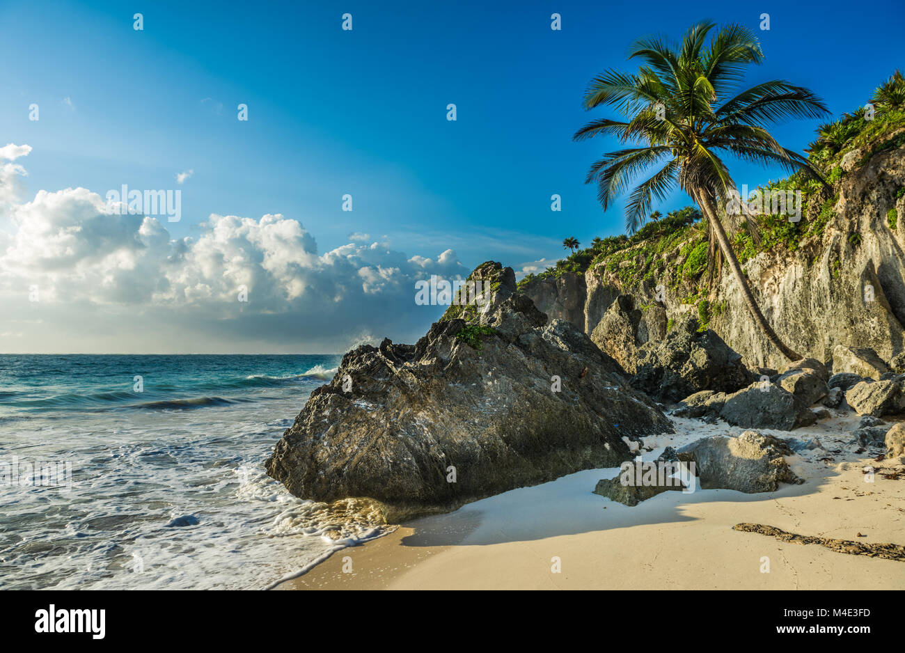 Plage des Caraïbes avec cocotier, Tulum, Mexique Banque D'Images