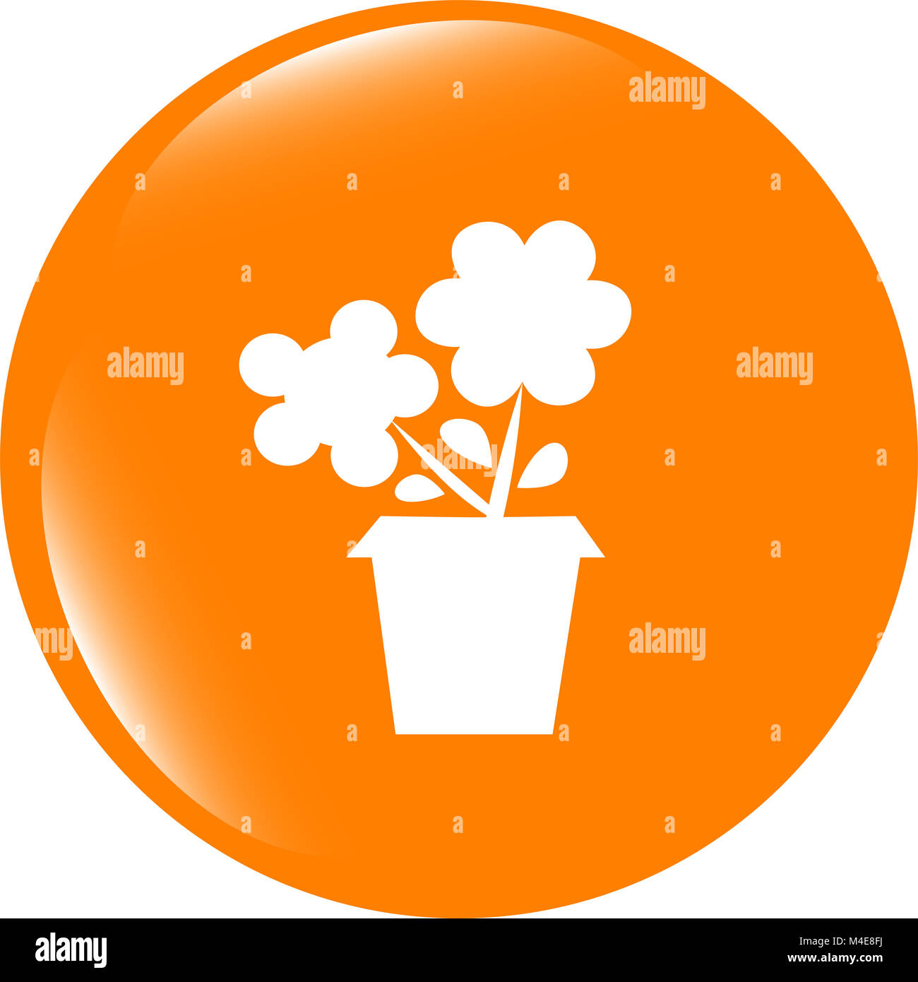 Web fleurs boutons pour site web ou app isolated on white Banque D'Images