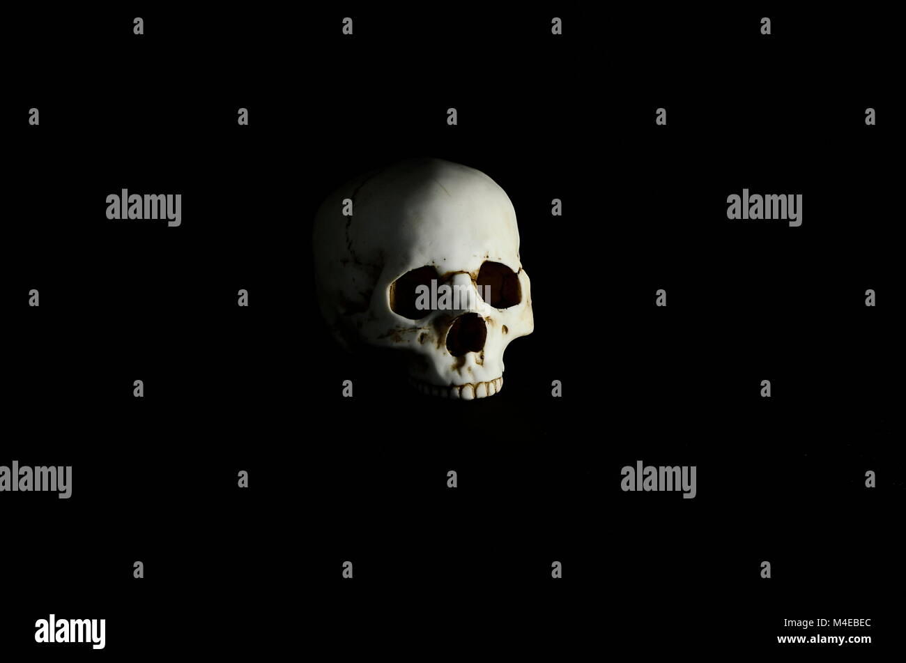 Crâne humain en basse définition des touches Banque D'Images