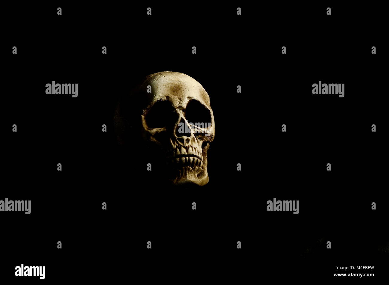 Crâne humain en basse définition des touches Banque D'Images