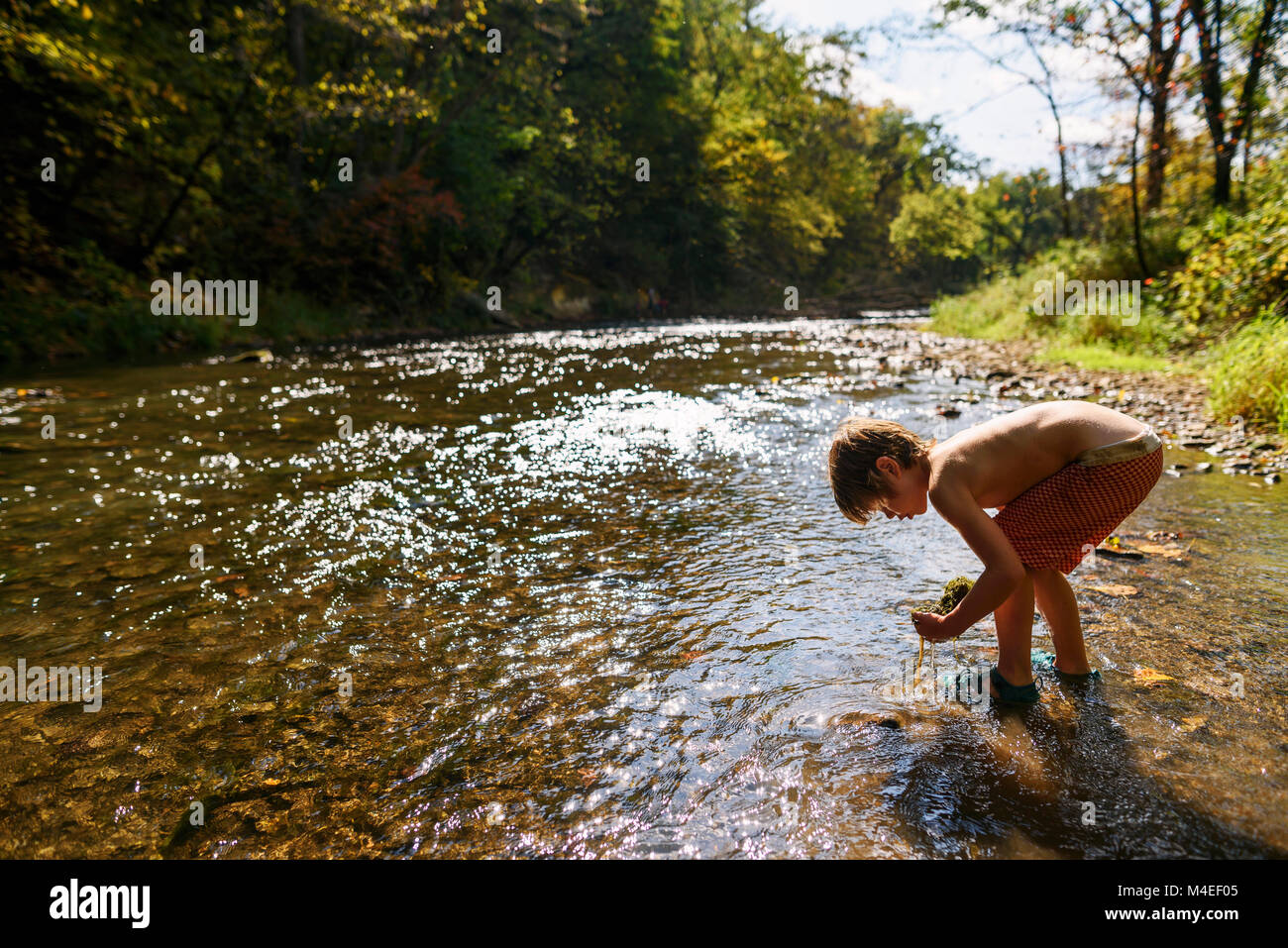 Garçon debout dans une rivière collecter des roches Banque D'Images