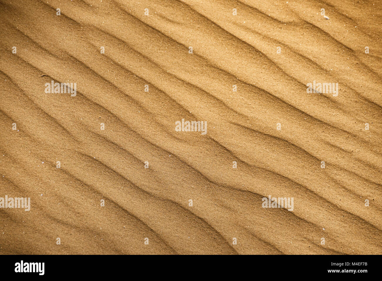 Close-up d'ondulations dans le sable Banque D'Images