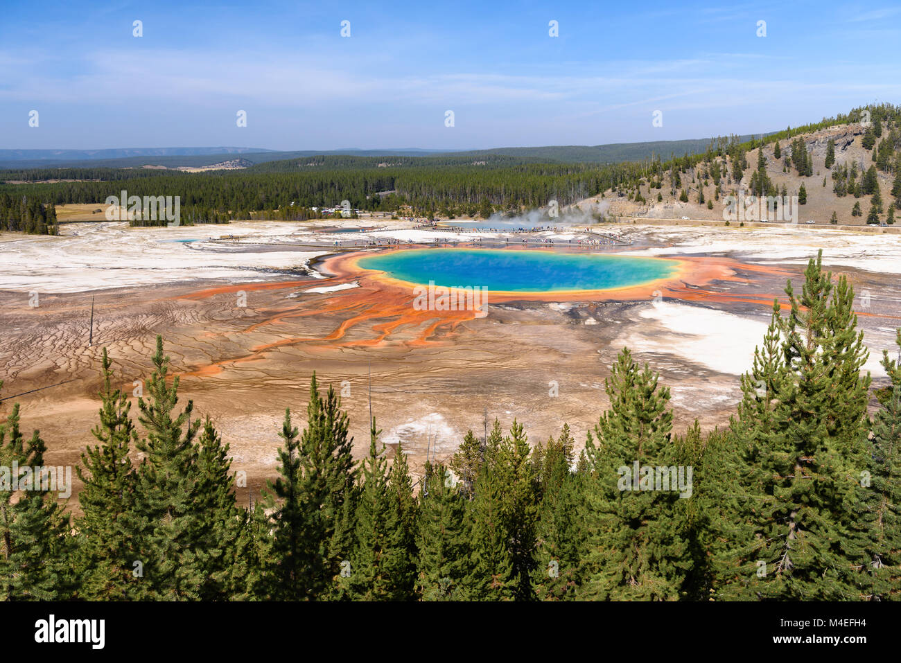 Grand Prismatic Spring, le Parc National de Yellowstone, Wyoming, United States Banque D'Images