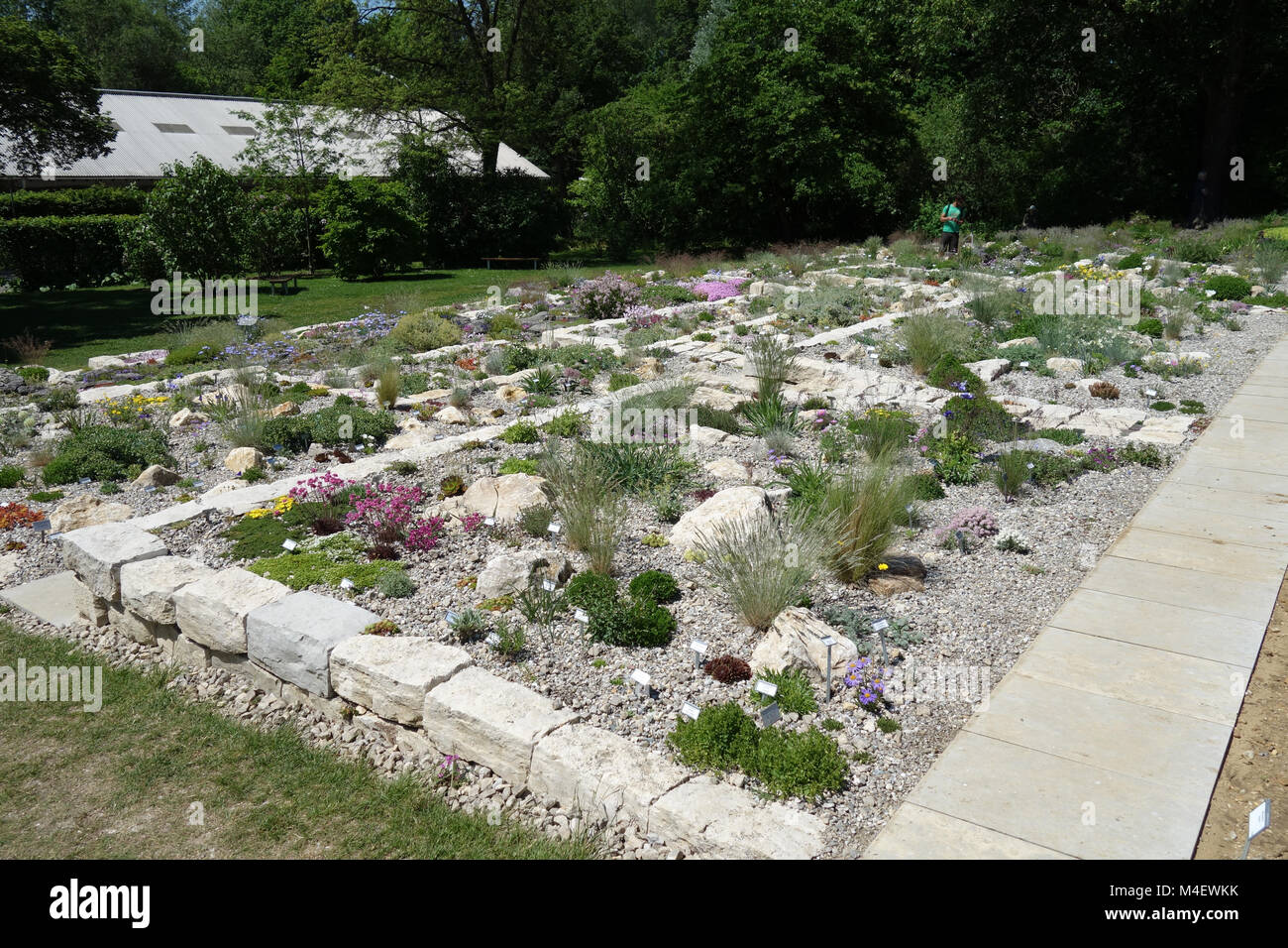 Rock Garden, cloisons sèches Banque D'Images