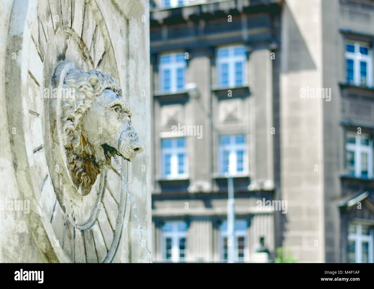 Tête de Lion statue sur la fontaine en pierre Banque D'Images