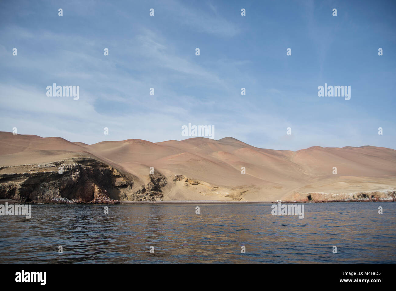 La Réserve nationale de Paracas, Pérou Banque D'Images