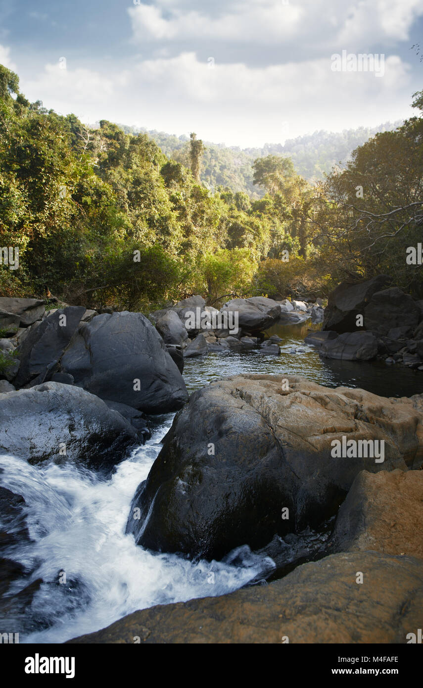 Jungle indienne avec rivière peu profonde entre pierres Banque D'Images