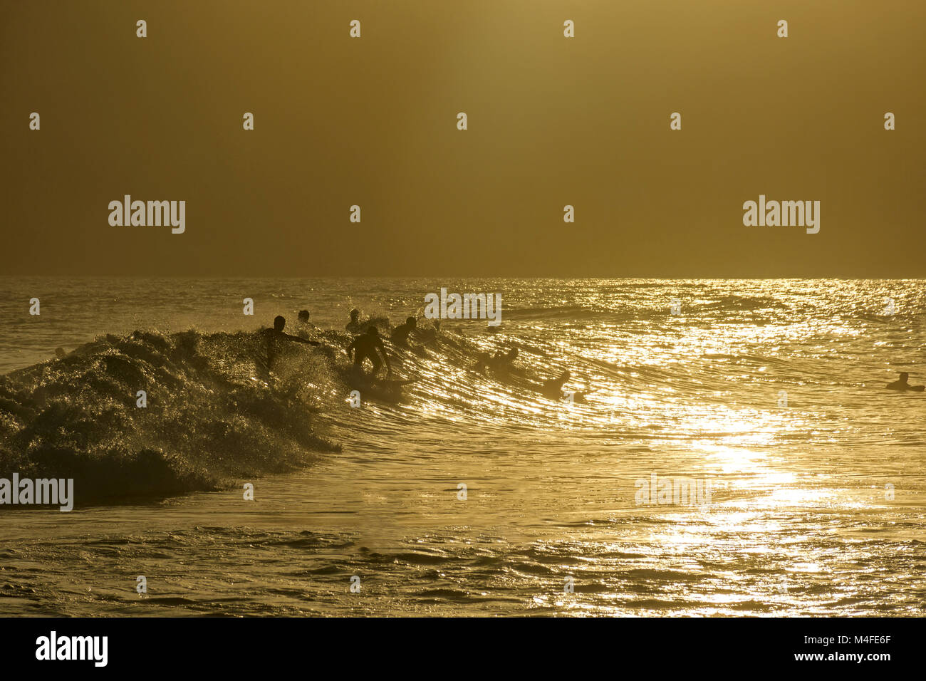 Surf au coucher du soleil Banque D'Images