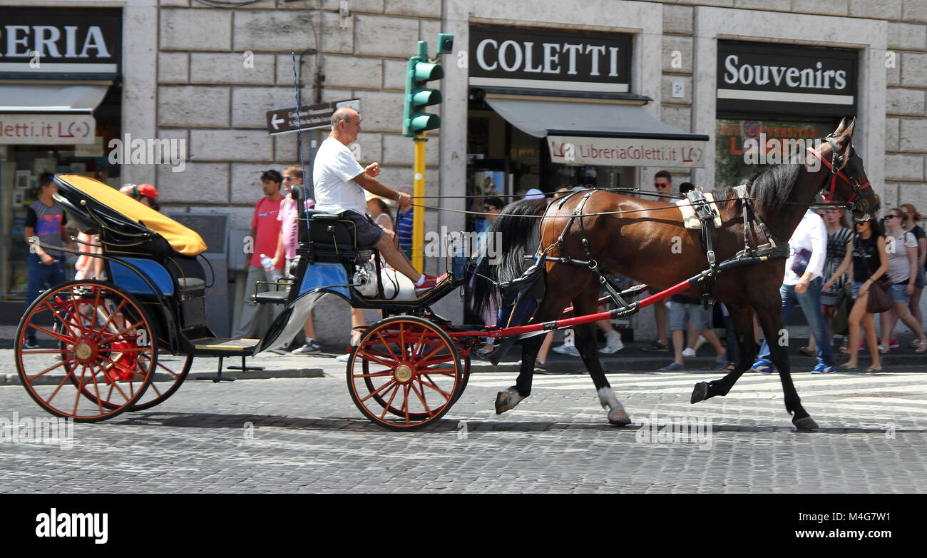 Senior man on horse char en face de Libreria Coletti et Souvenirs shop, Cité du Vatican, Rome, Italie. Banque D'Images