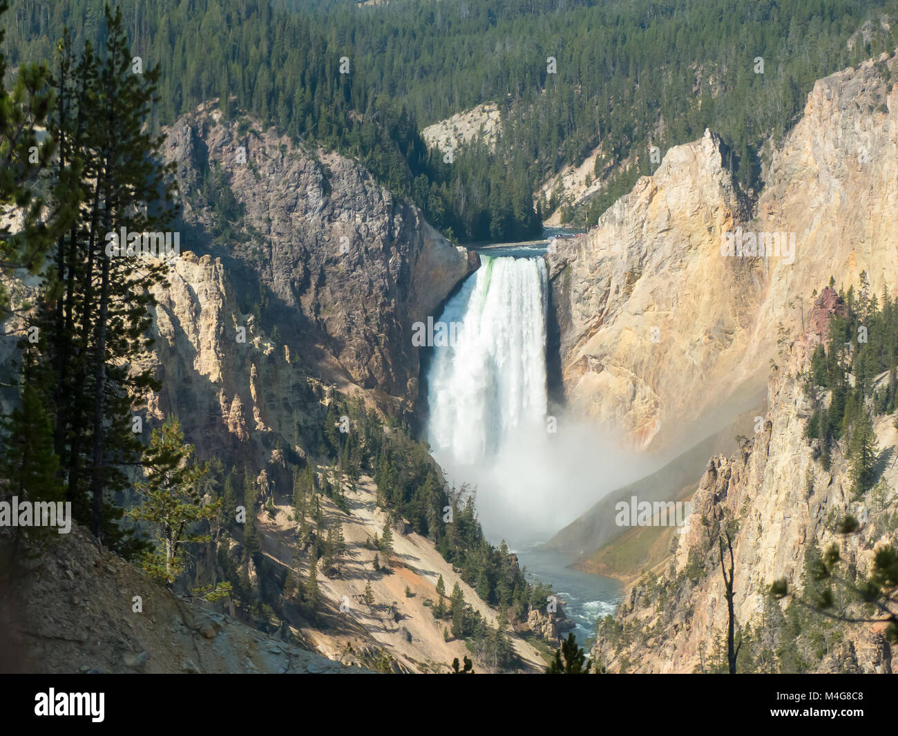 NP Yellowstone, Wyoming : la Lower Falls, de South Rim Drive Banque D'Images