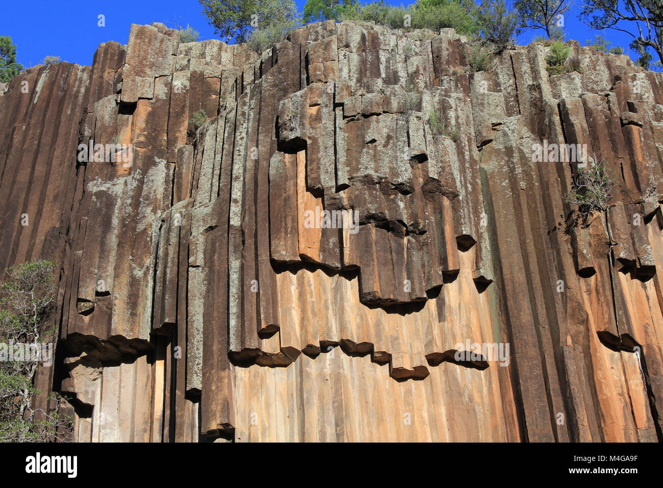 La formation de roche volcanique antique a créé l'organe-Effet de la tuyauterie à roches sciés, Narrabri, New South Wales, Australie. Banque D'Images