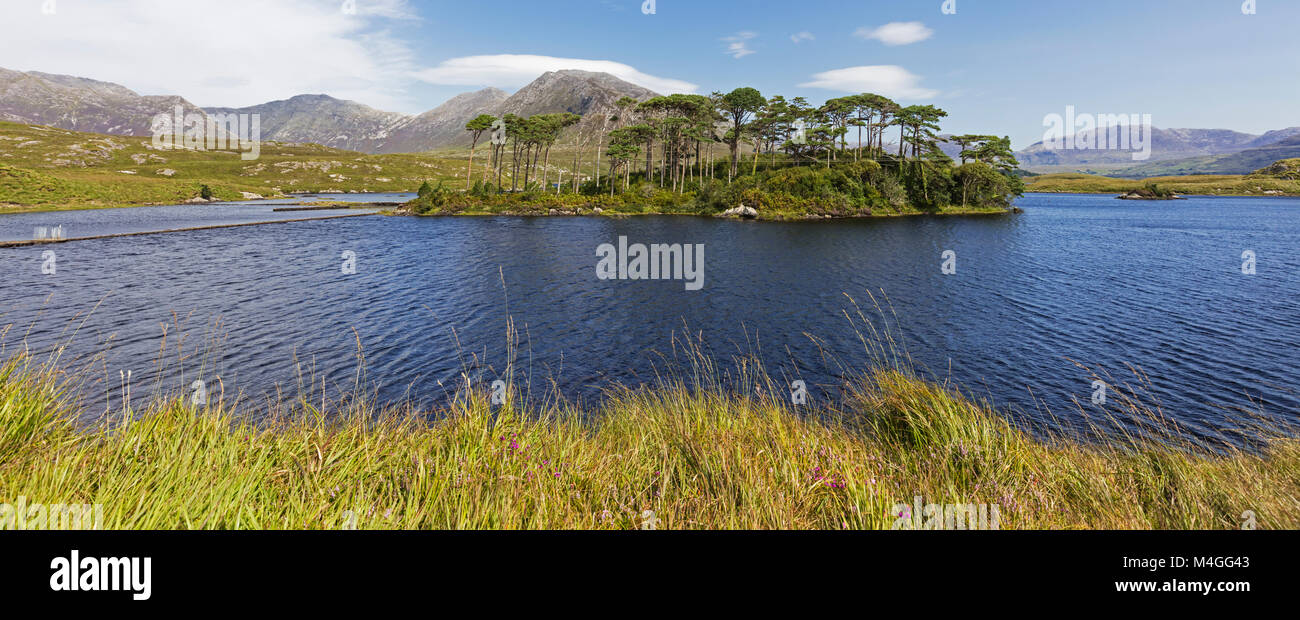 L'île des Pins en Derryclare Lough, Connemara, comté de Galway, en République d'Irlande. L'Irlande. Banque D'Images