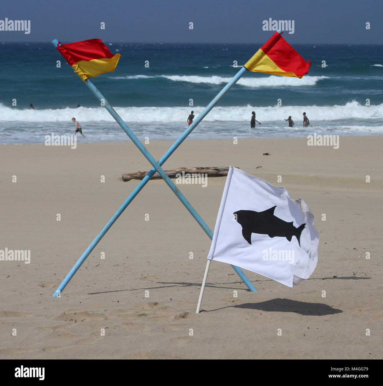 San Lameer Plage avec White et Black Shark drapeau indiquant qu'un requin a été repéré et sauveteur en service drapeau, Côte Sud, Kwazulu Natal, Sout Banque D'Images