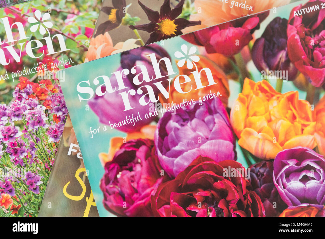 Sarah Raven pour les catalogues en ligne et magasins de l'usine Banque D'Images