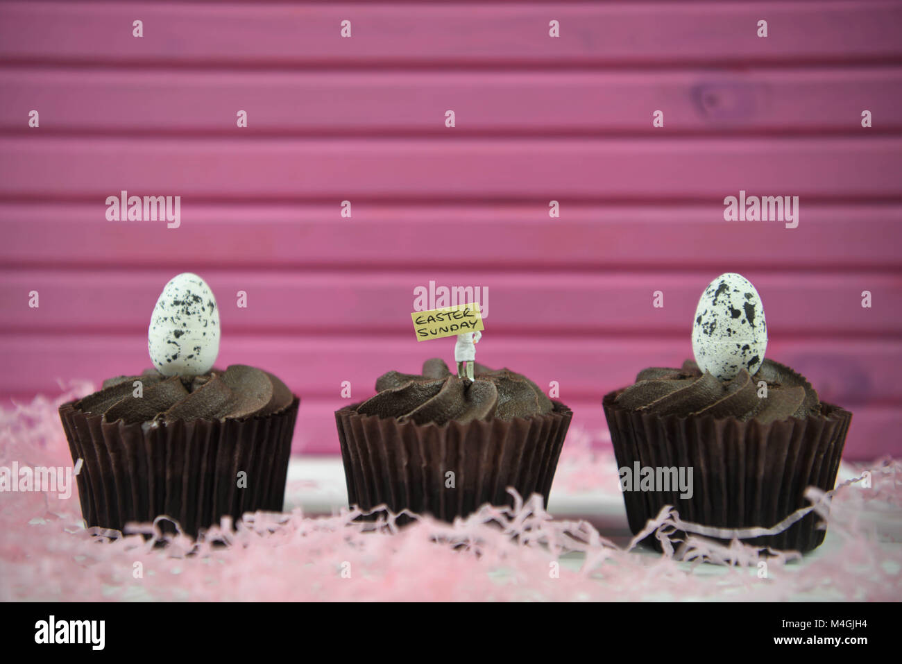 Petits gâteaux au chocolat de Pâques avec des oeufs de Pâques décorations sur le dessus et le texte ou les mots Banque D'Images