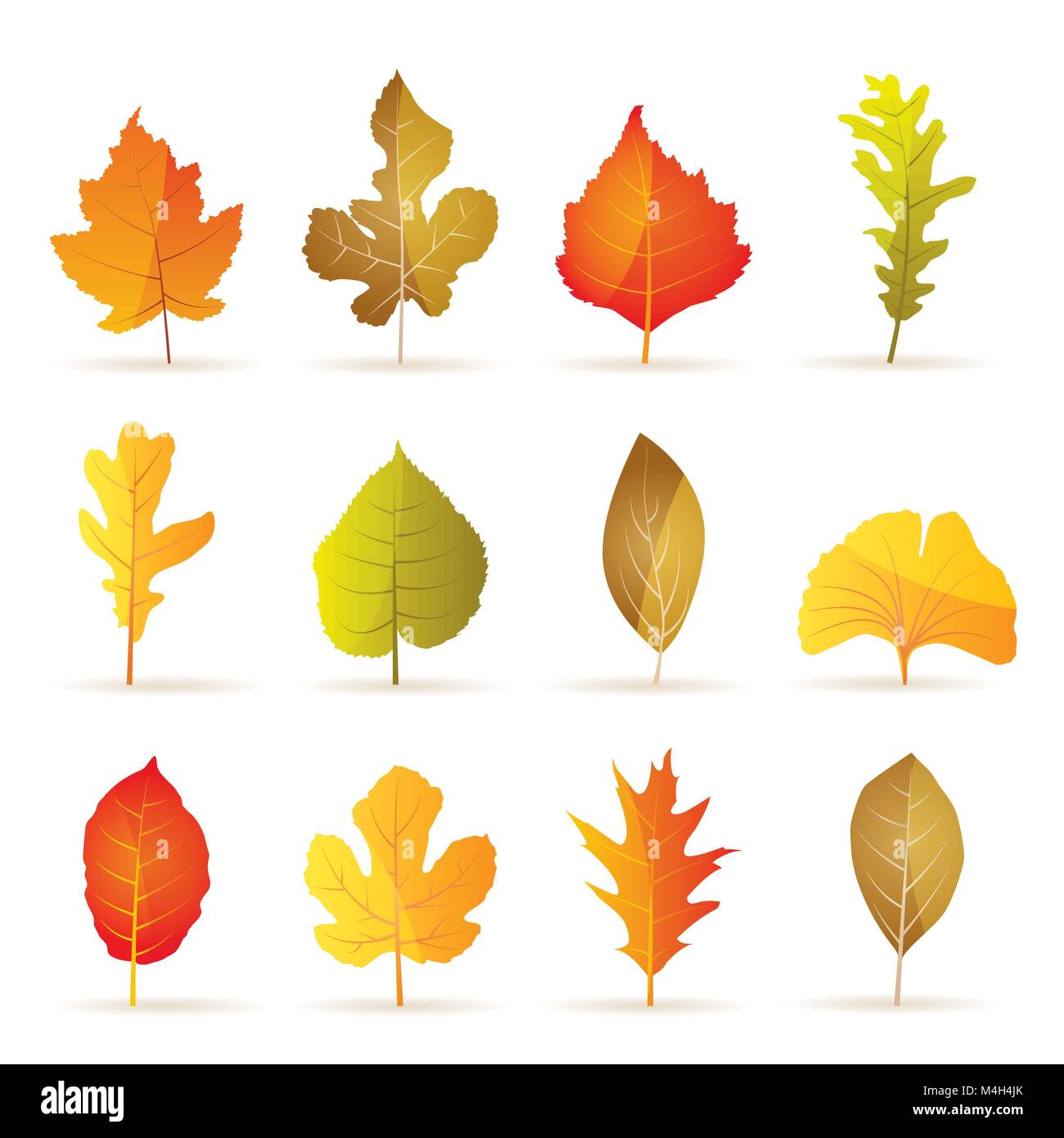 Différents types d'icônes des feuilles d'automne de l'arbre - vector icon set Illustration de Vecteur