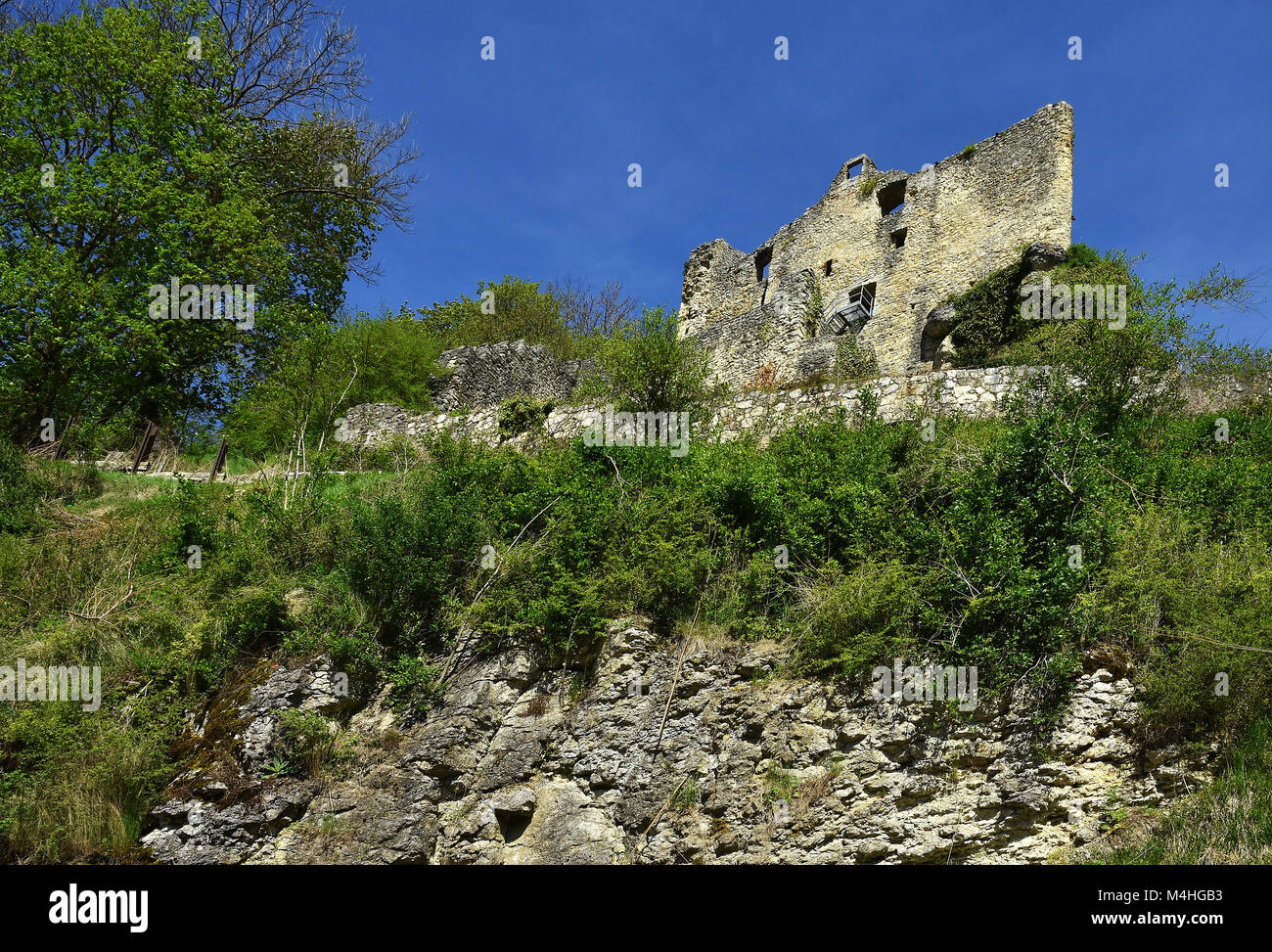 Jura souabe ; Allemagne ; château ; ruine, Bichishausen Banque D'Images