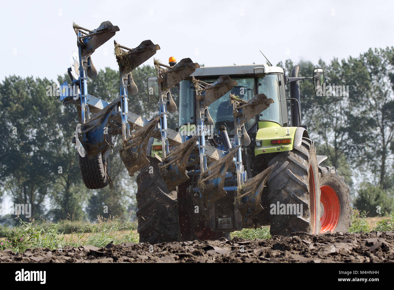 Labourer en action Banque D'Images