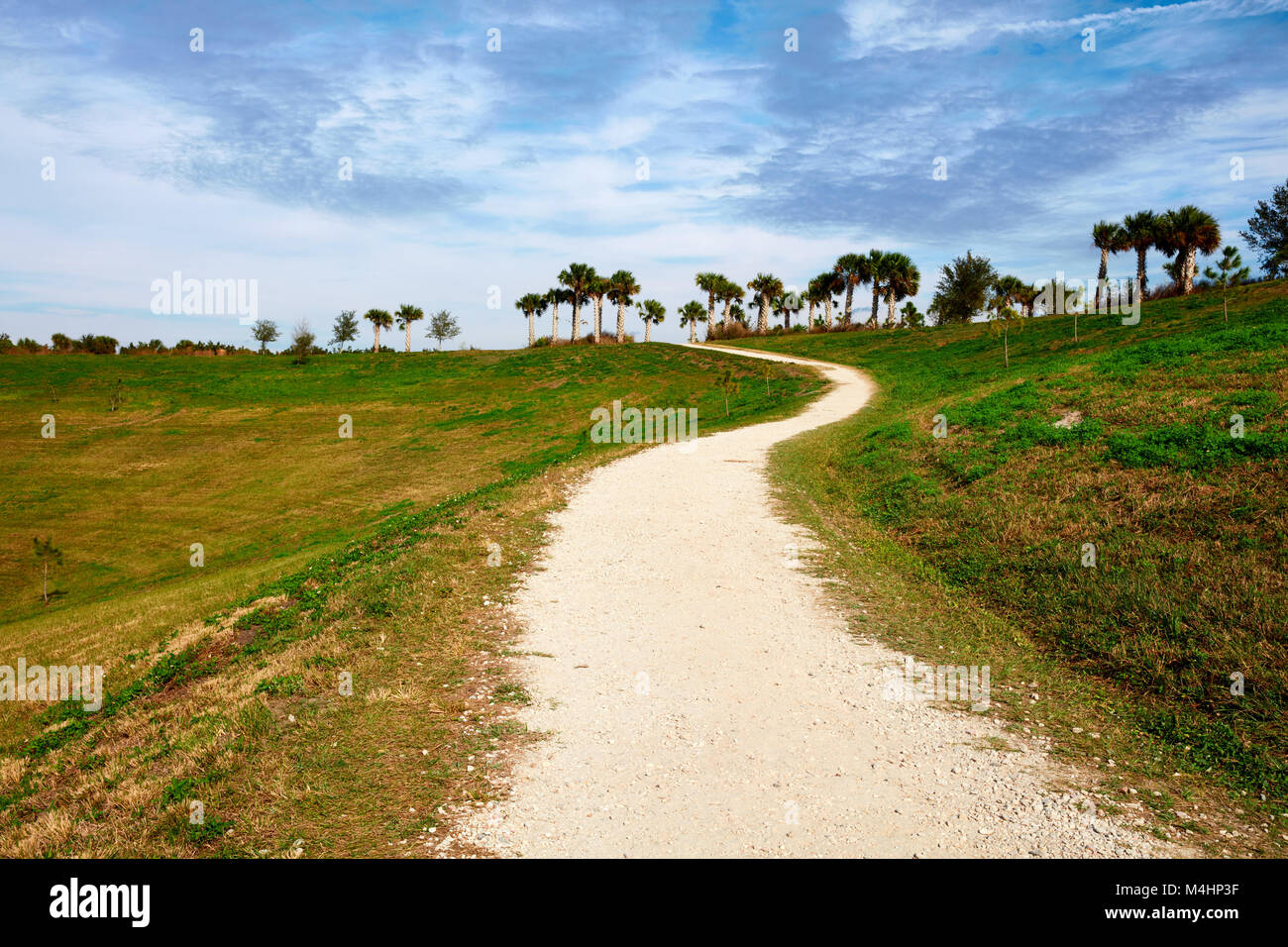 Sentier menant jusqu'à la colline d'observation dans le parc des Champs de céleri, Sarasota, Floride Banque D'Images
