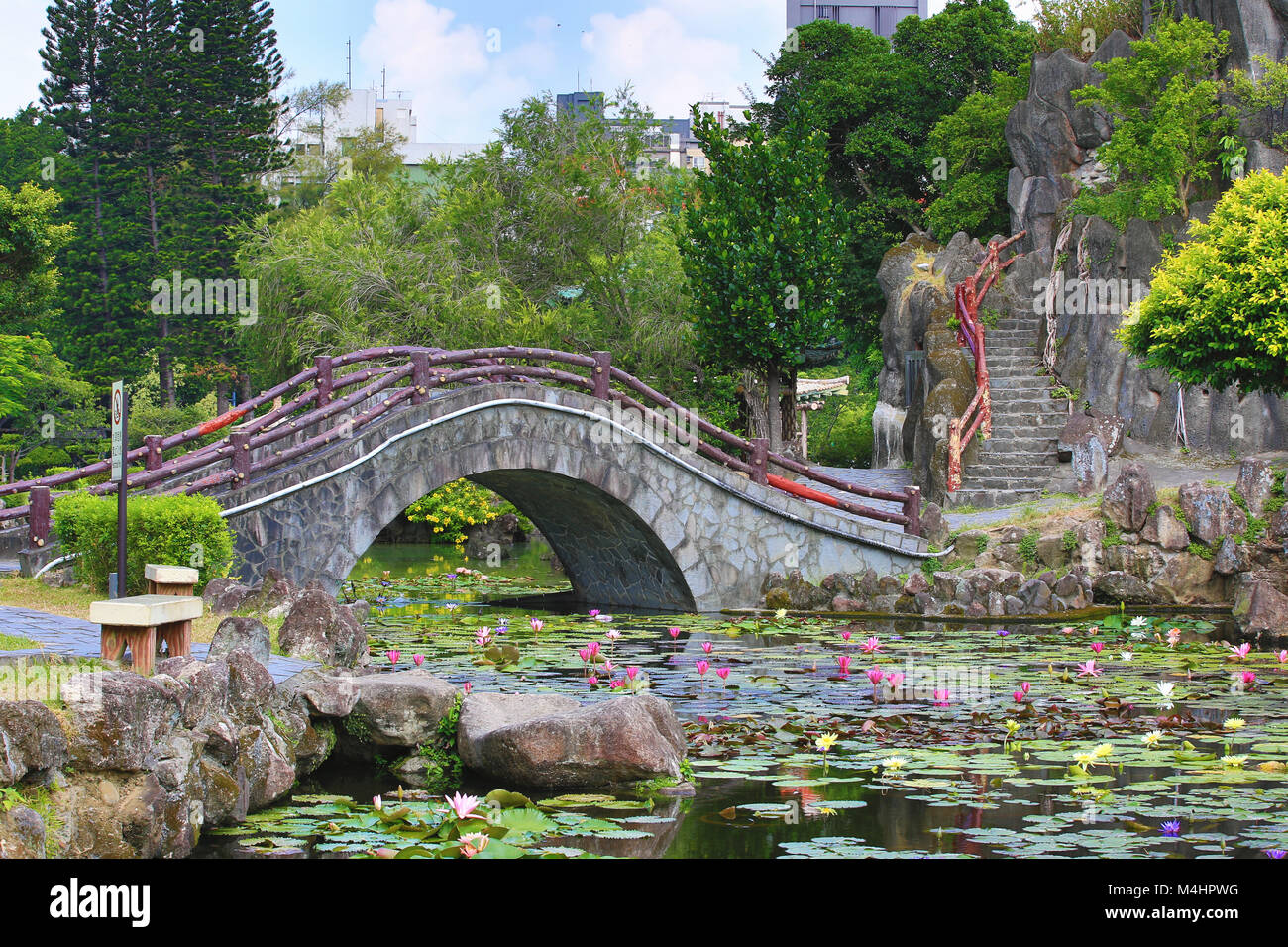 Beau jardin décor de fleurs et feuilles de nénuphar avec pont en pierre et escaliers dans l'étang en été Banque D'Images