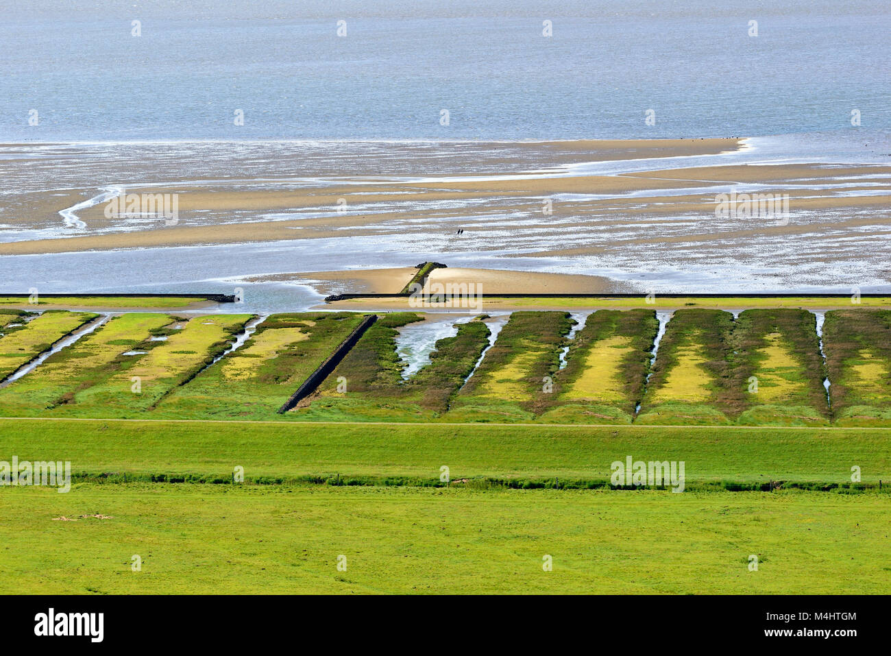 Vue de la zone intertidale Norderneyer, Norderney, îles de la Frise orientale, mer du Nord, Basse-Saxe, Allemagne Banque D'Images