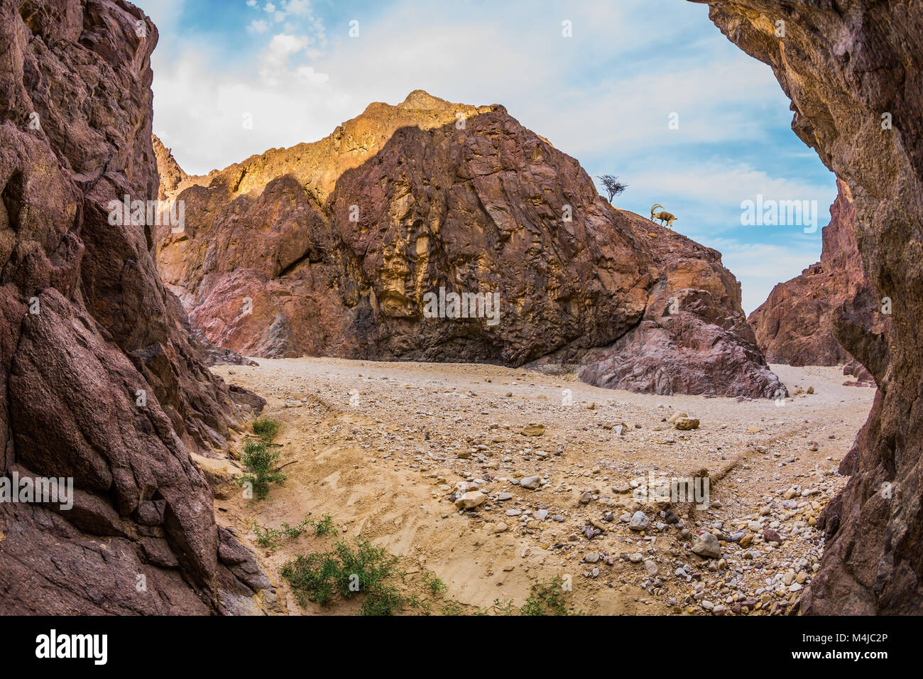 En grès rose et orange Banque D'Images