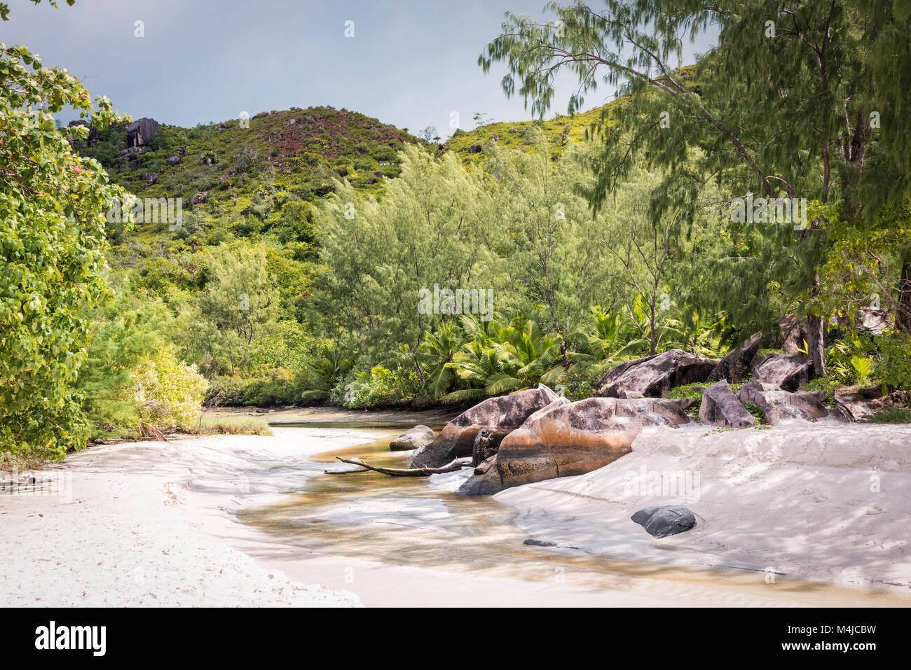 Rivière qui coule jusqu'à la plage, Praslin, Sychelles Banque D'Images