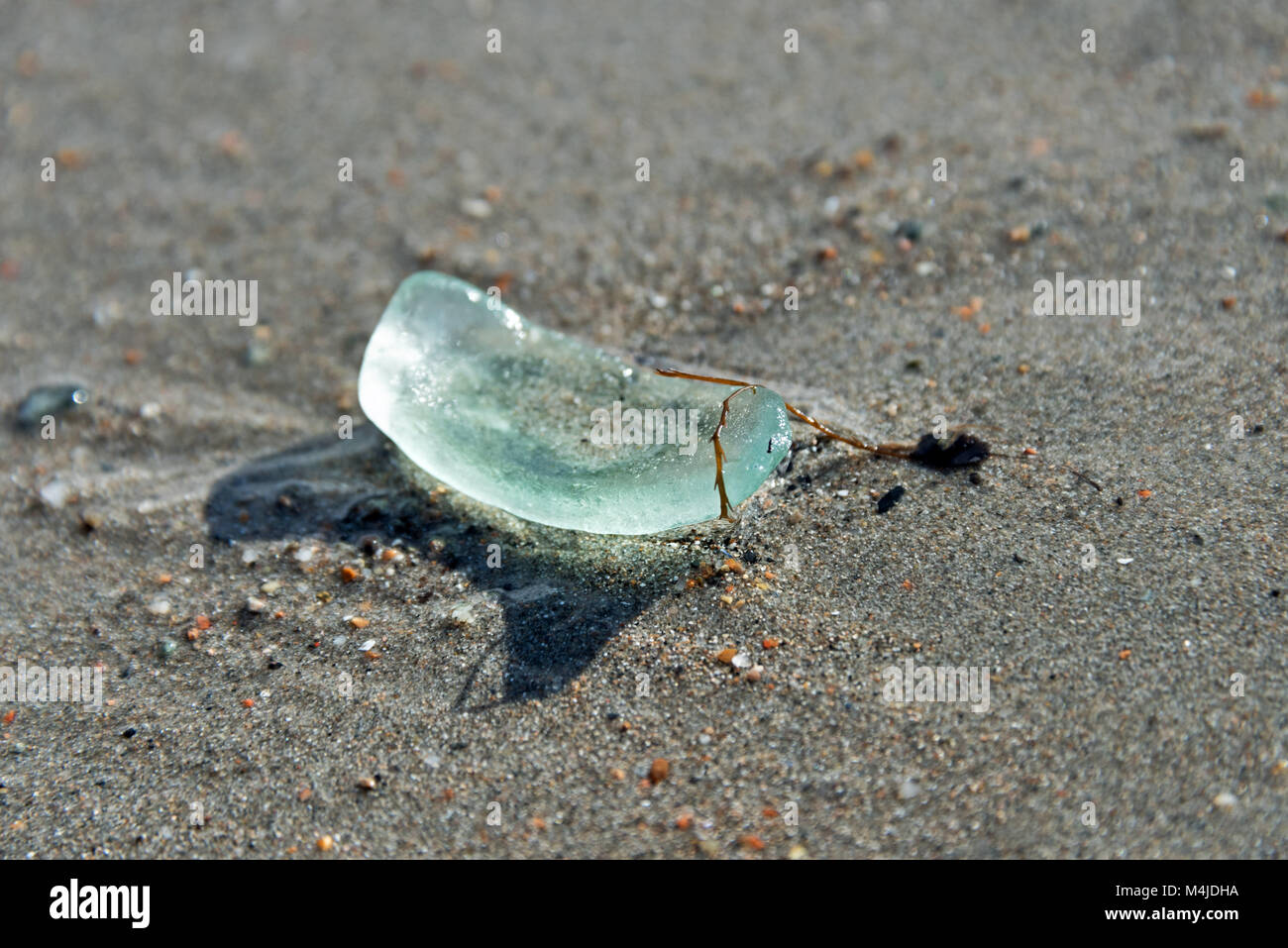 Verre de mer échouée sur la plage de Seal Harbor, Maine. Banque D'Images Verre de mer échouée sur la plage de Seal Harbor, Maine. Banque D'Images