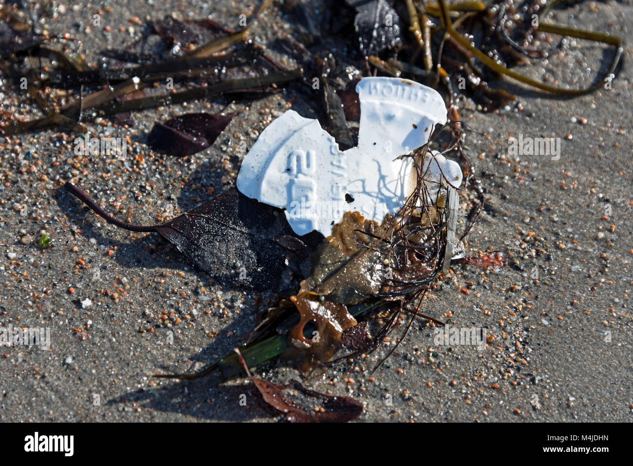 Couvercle en plastique échoués sur la plage de Seal Harbor, Maine. Banque D'Images