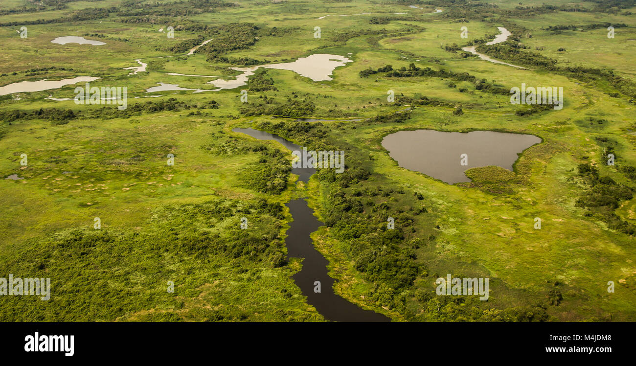 Vue aérienne de zones humides du Pantanal, Pantanal, Brésil Banque D'Images