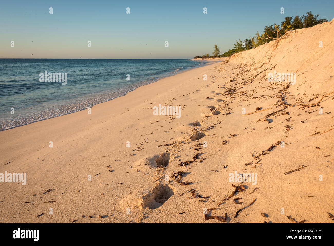 Plage de sable vide, Bird Island, Seychelles Banque D'Images